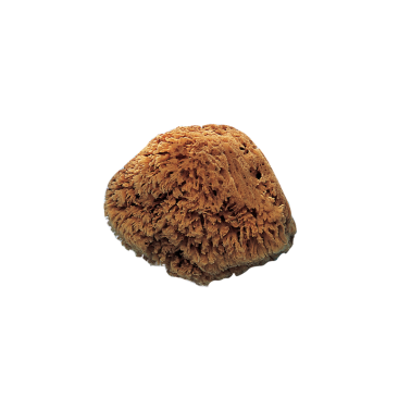 Esponja Natural